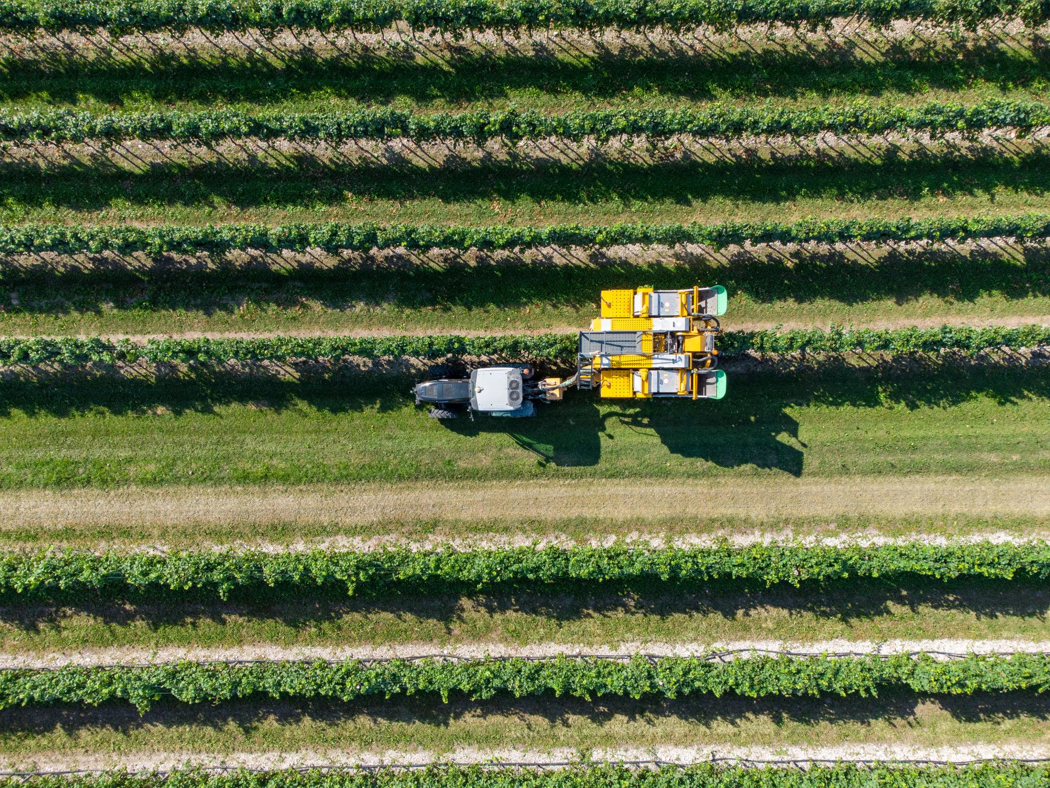 Agricultural Investment Fund